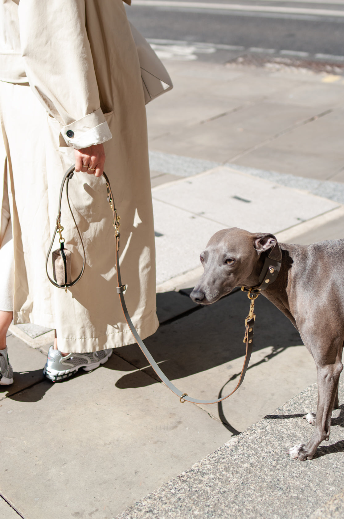 Leather Collar for Sighthounds