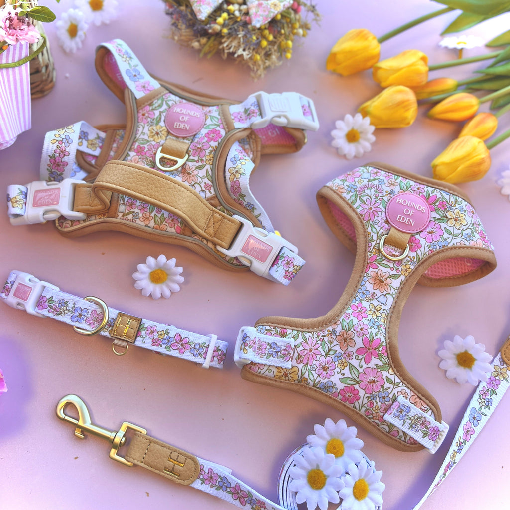 Pastel Petals Dog Harness XS to XL