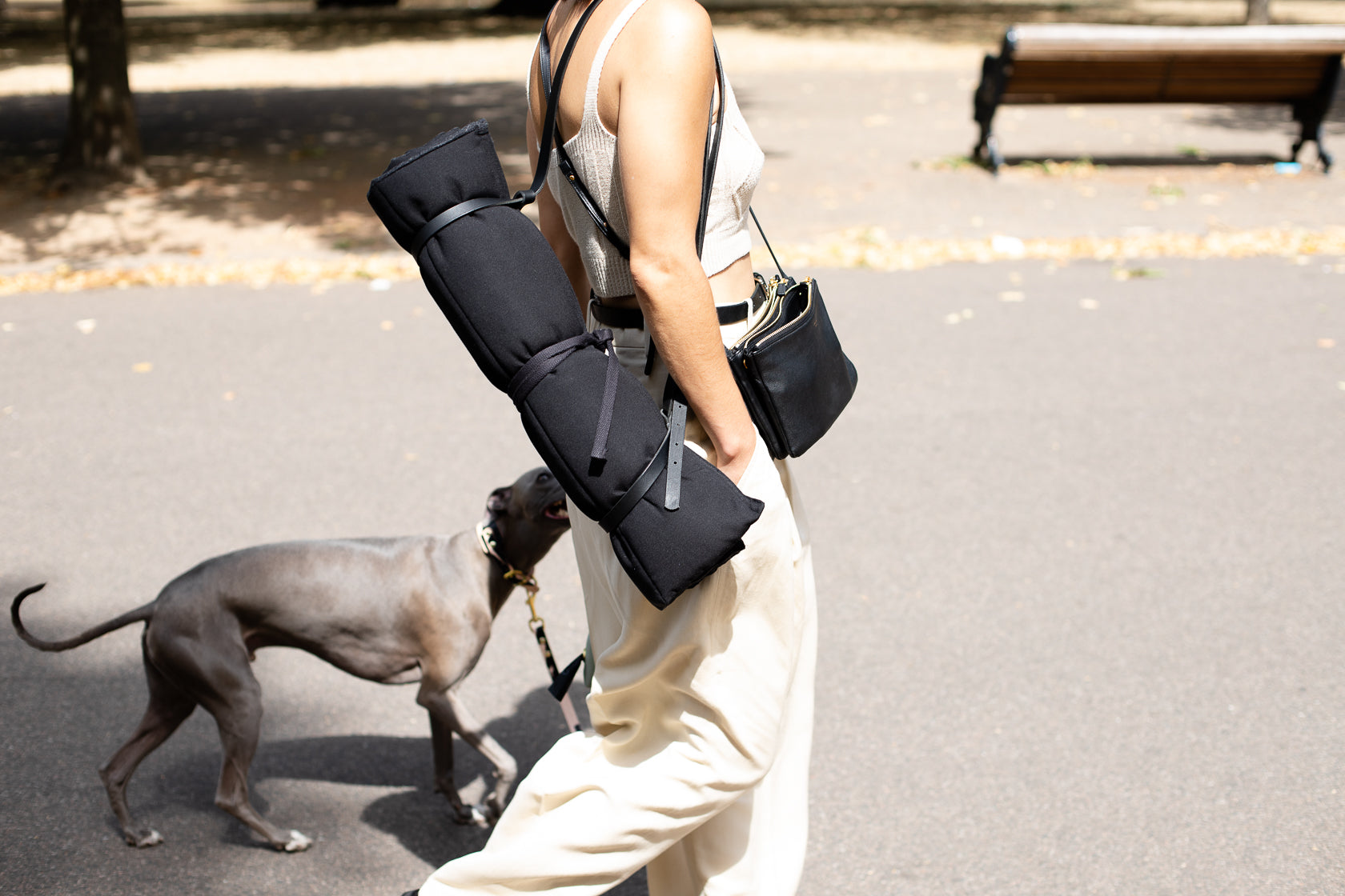 Travel Mat for Dogs