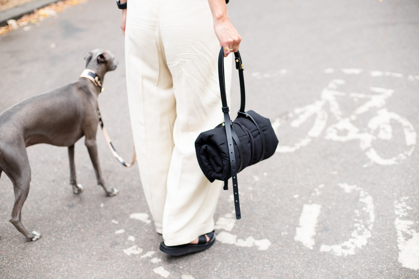 Travel Mat for Dogs