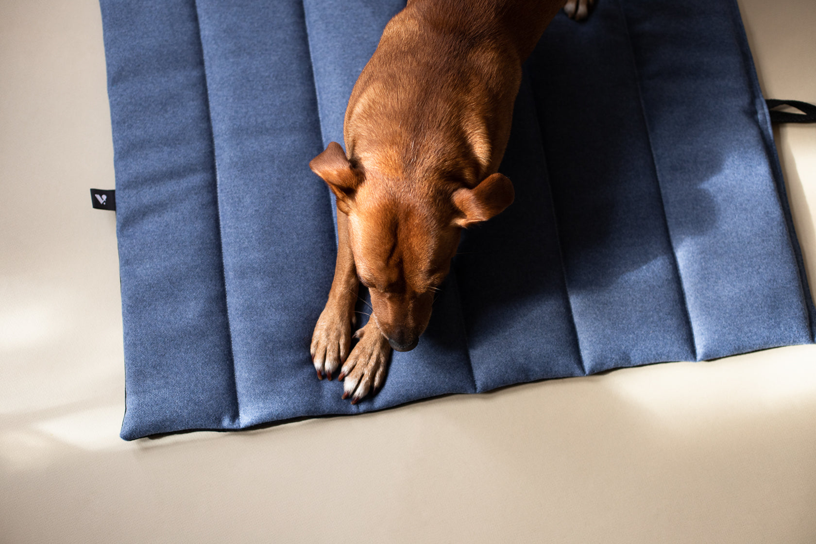 Travel Mat for Dogs