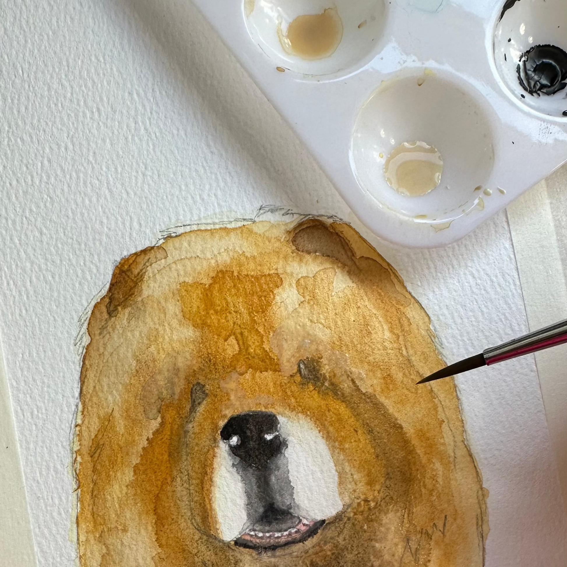Red Chow Chow Aloof Floof Greeting Card