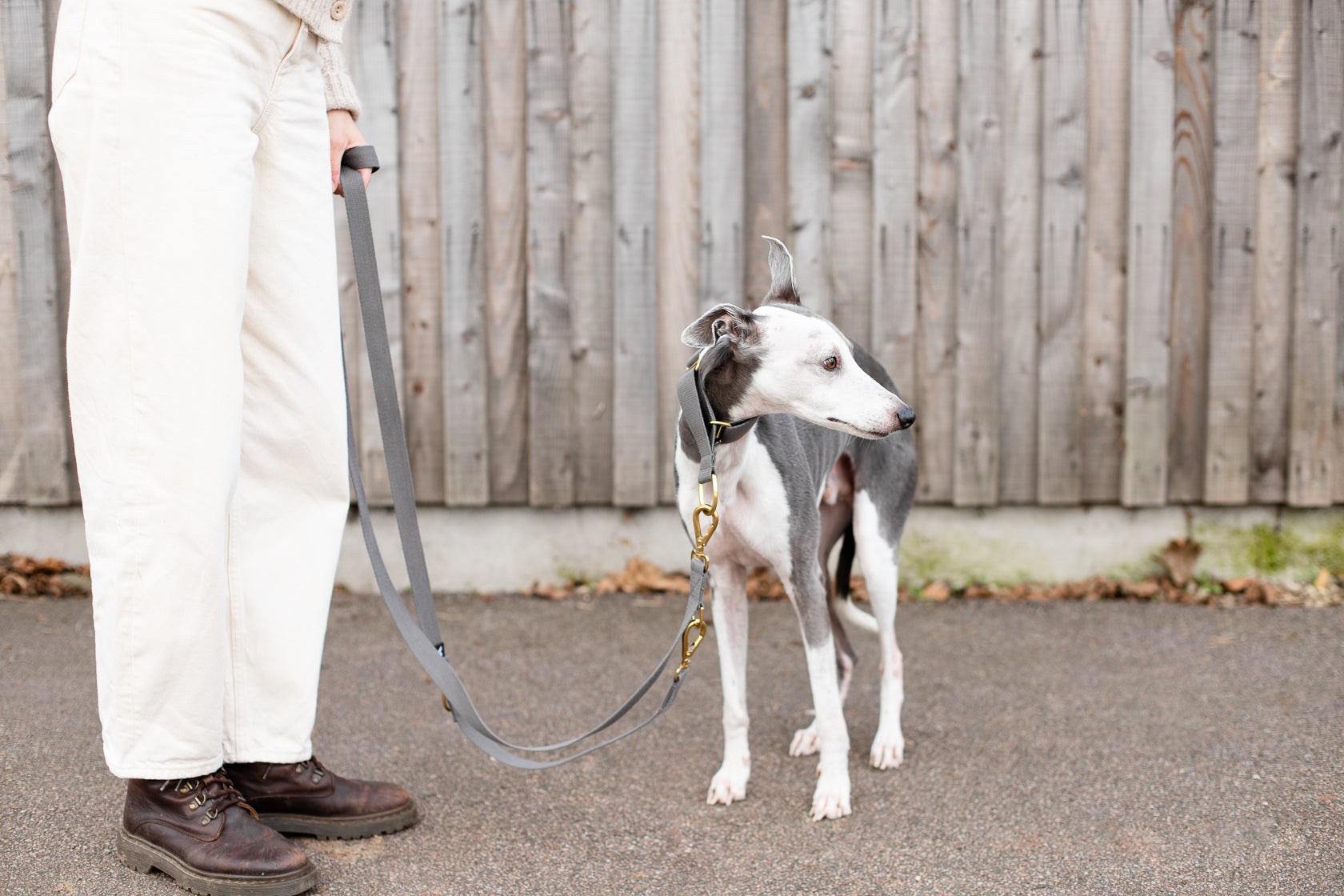 Cotton Martingale Collar for Dogs