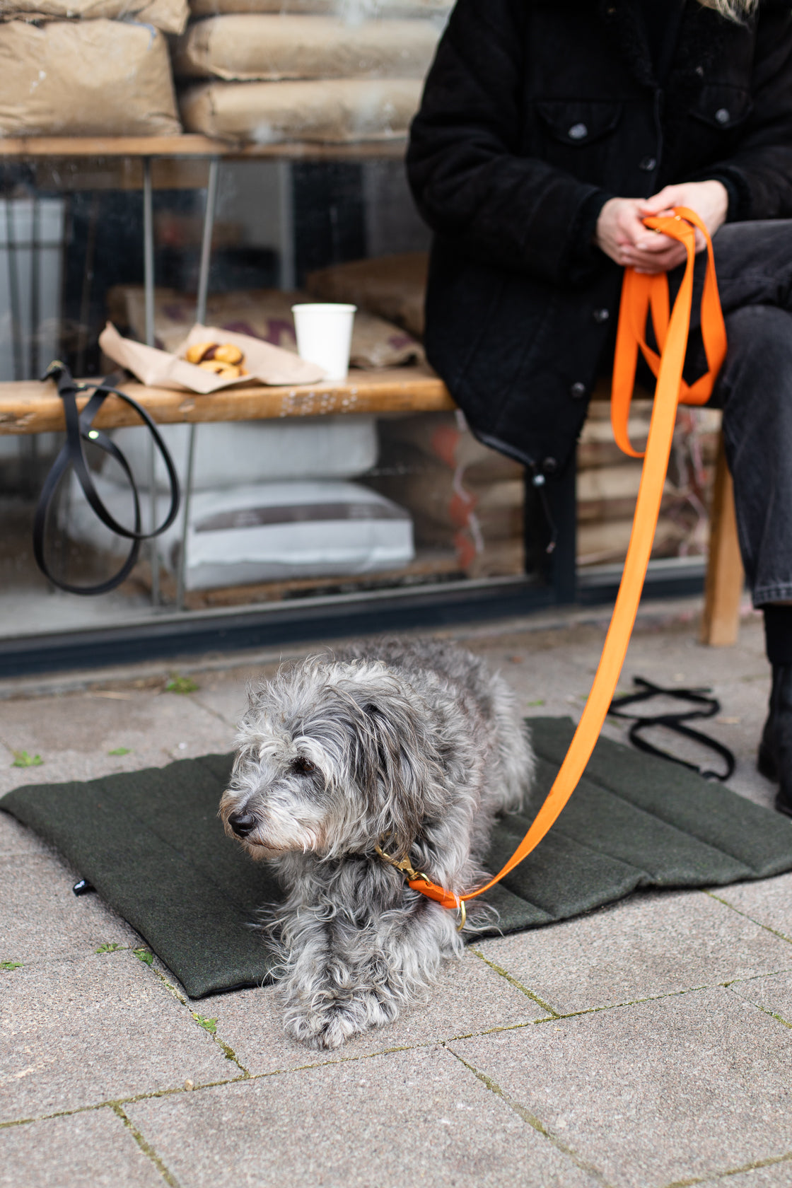 Travel Mat for Dogs