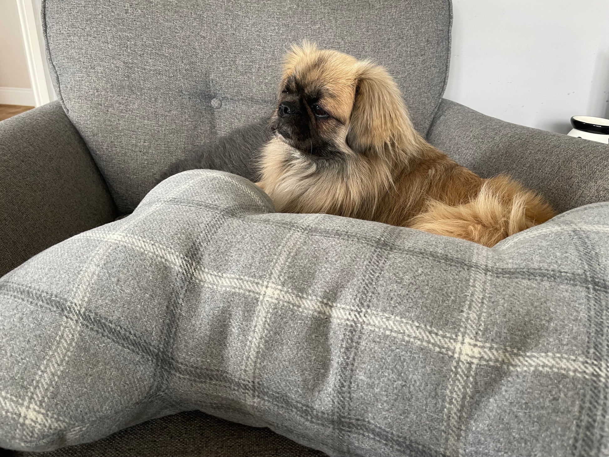 Large Bone Dog Snuggle Cushion
