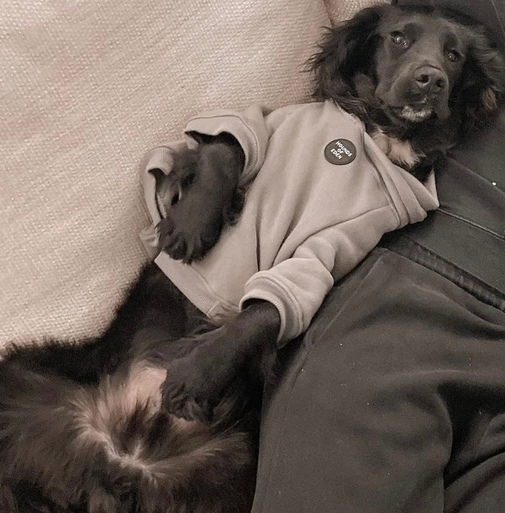 Dog Hoodie - Olive Green