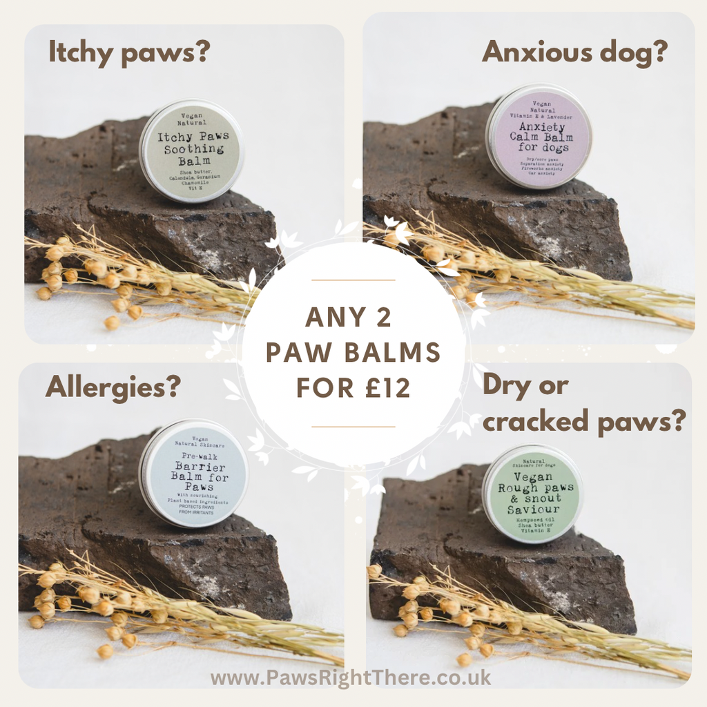 Paw Balm for Dogs with Calming Care