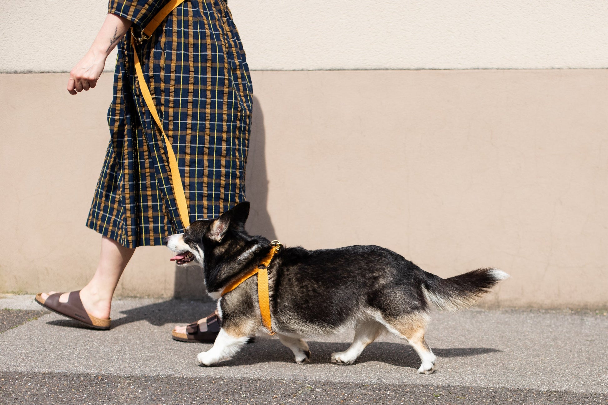 Cotton Step In Dog Harness
