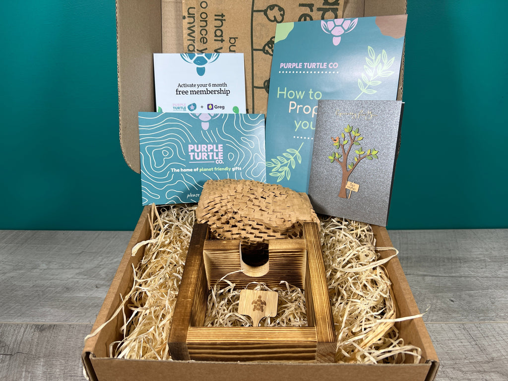 Plant Propagation Gift Set for Indoor Gardeners