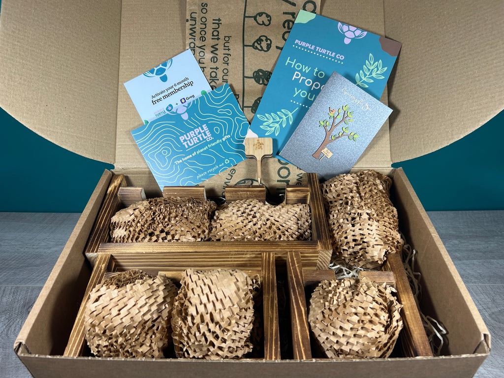 Plant Propagation Gift Set for Indoor Gardeners