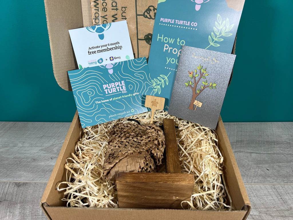 Plant Propagation Gift Set for Home Gardeners