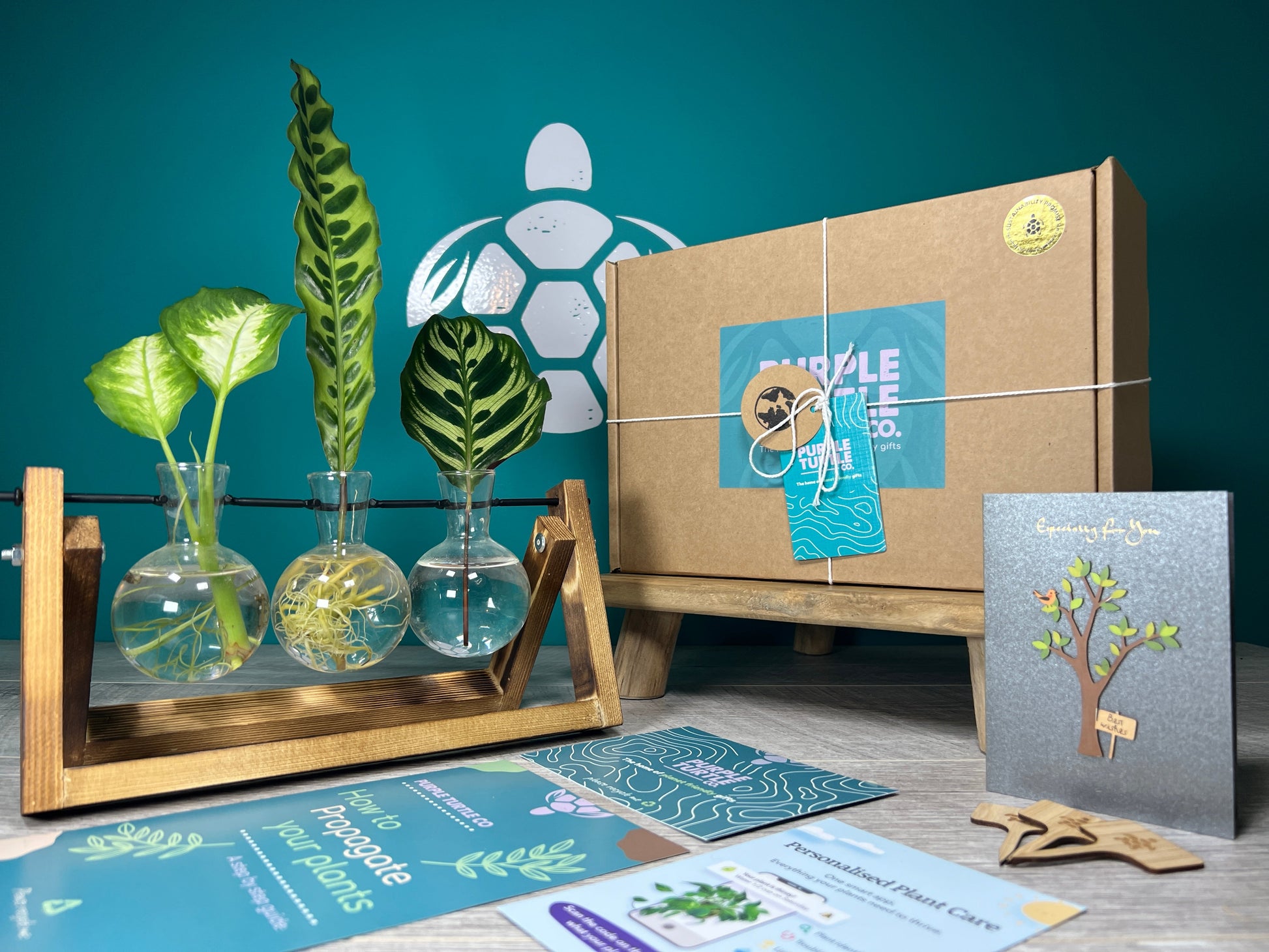 Plant Propagation Gift Set for Home Growing
