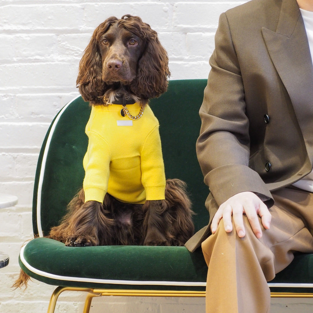 Bright Yellow Jumper