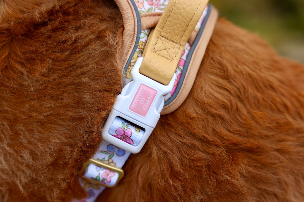 Pastel Petals Dog Harness XS to XL