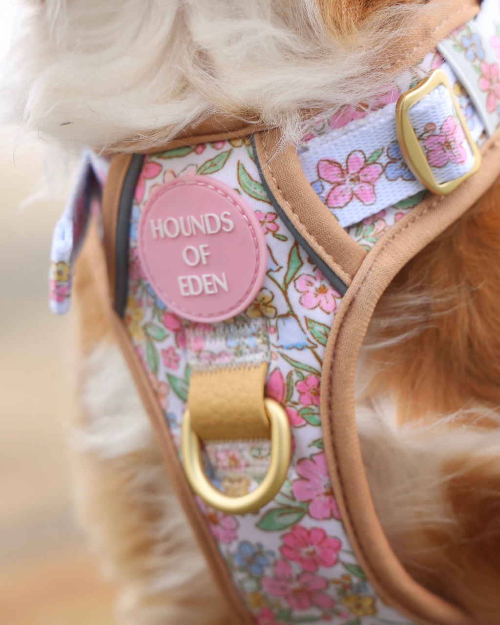 Pastel Petals Dog Harness XS to XL