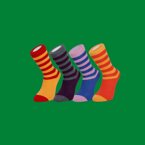 Bright Everyday Merino Socks 4 Pair Bundle