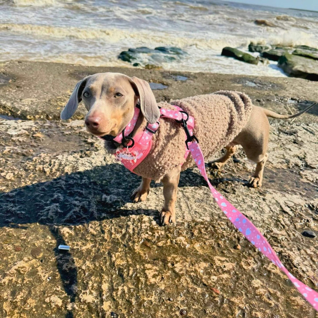 Peachy Hearts Dog Lead