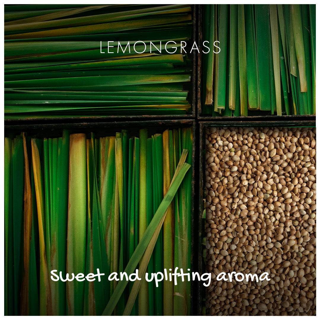 Natural Lemongrass Soap on a Rope 125g