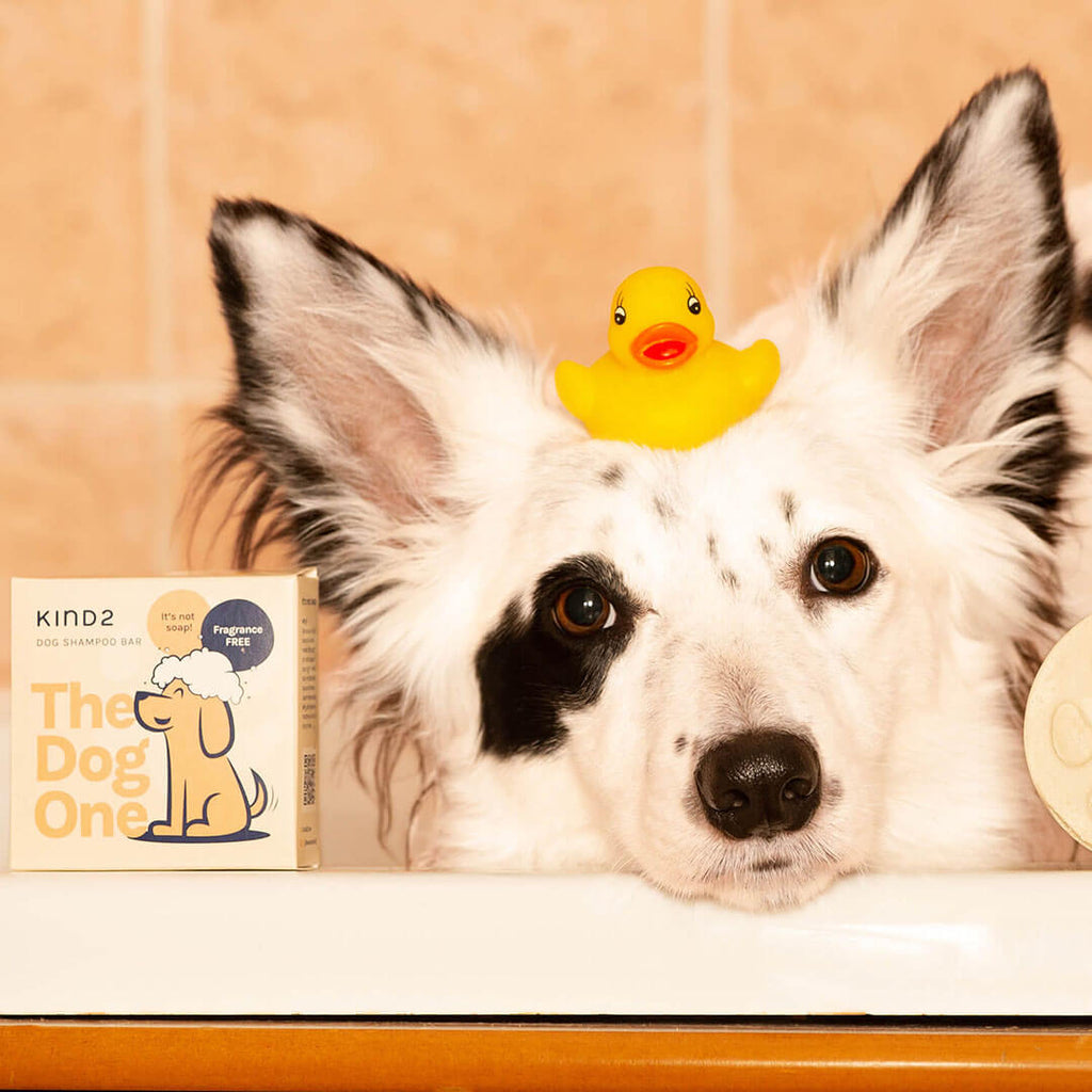 Fragrance Free Dog Shampoo Bar for Sensitive Skin