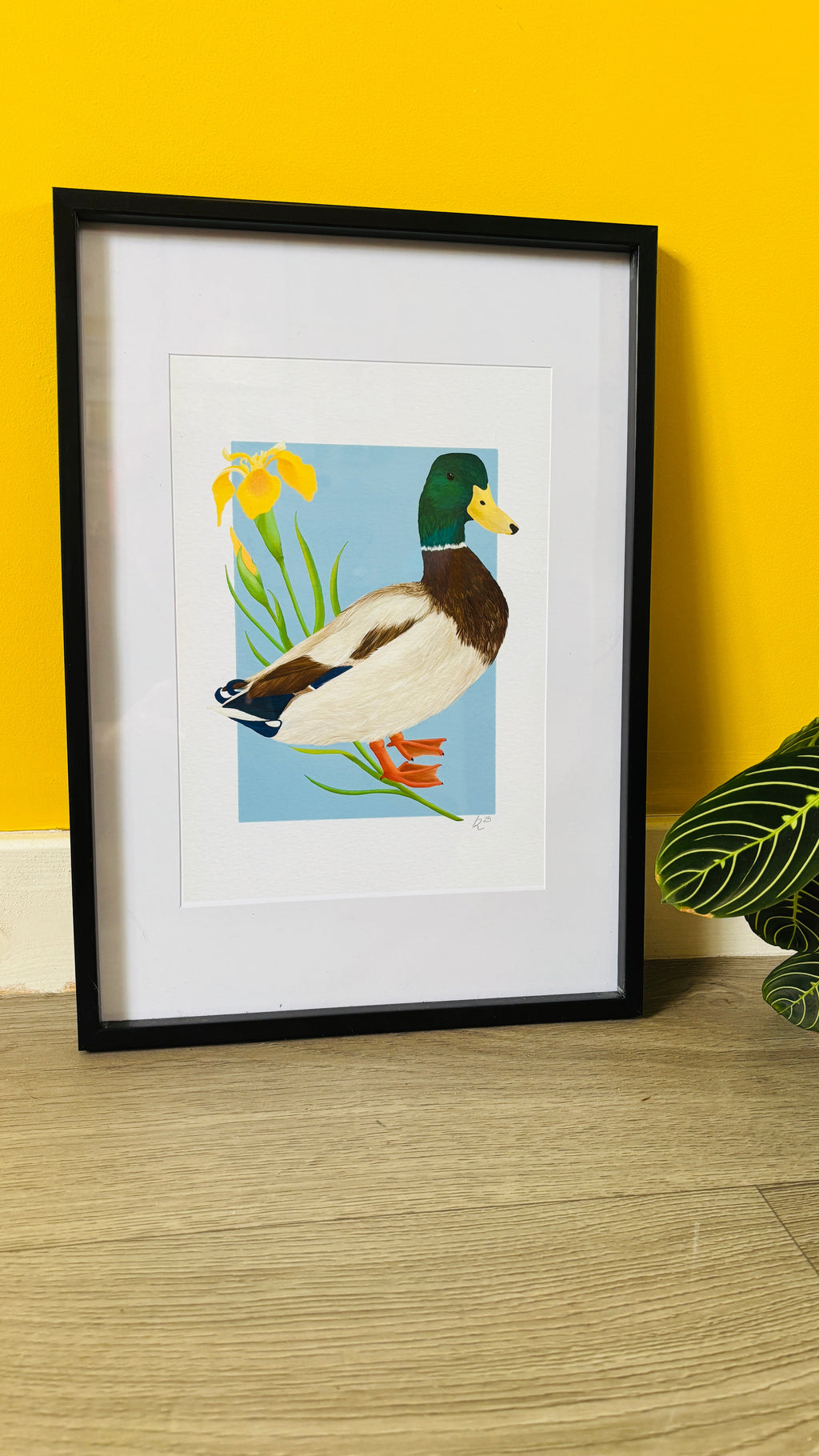 Mallard Duck and Iris British Wildlife Art Print