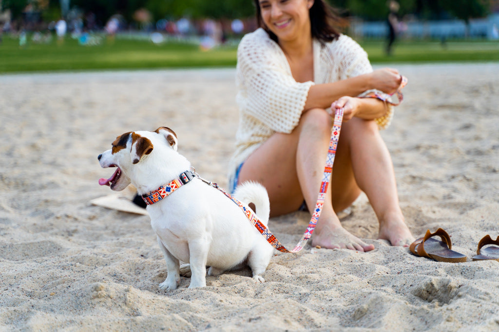 Boho Collection Dog Leash – A style that combines hippie blaze of colors with casual surfers and bohemian originality. by Matteo at www.brixbailey.com