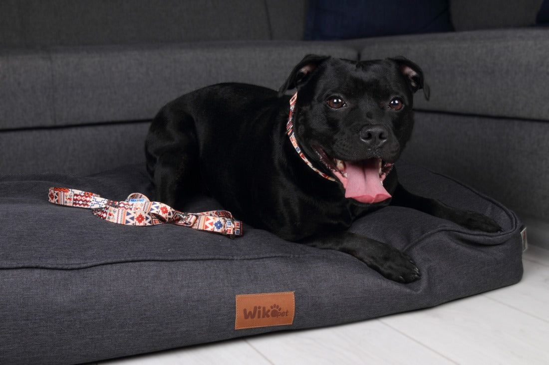 Boho Collection Dog Leash – A style that combines hippie blaze of colors with casual surfers and bohemian originality. by Matteo at www.brixbailey.com