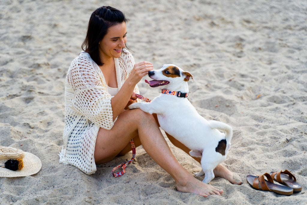 Boho Collection Dog Collar - Durable, Stylish & Adjustable with Envelope Stitching by Matteo at www.brixbailey.com