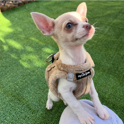 Step In Soft Touch Suede Faux Fur Lined Puppy and Small Dog Harness Caramel