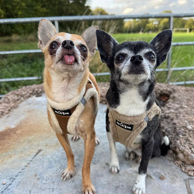 Step In Soft Touch Suede Faux Fur Lined Puppy and Small Dog Harness Mocha