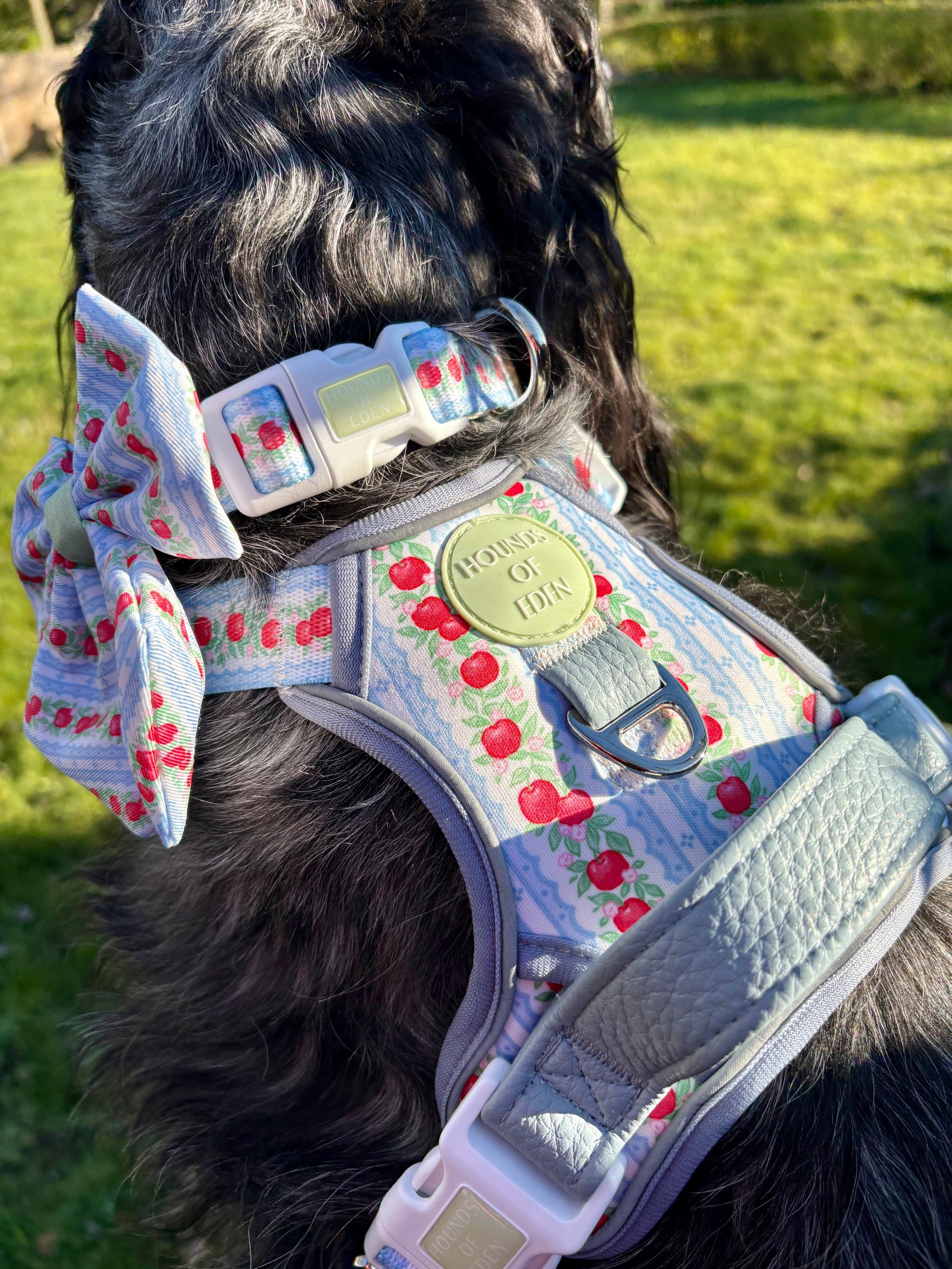 Supaw Strong Dog Harness XS to XL