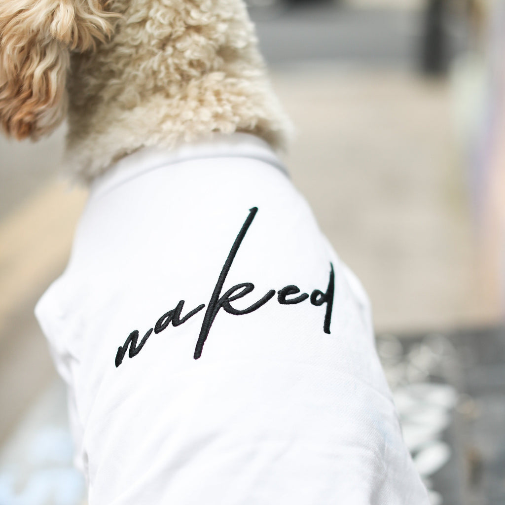 Naked Embroidered Sweatshirt in White and Apricot