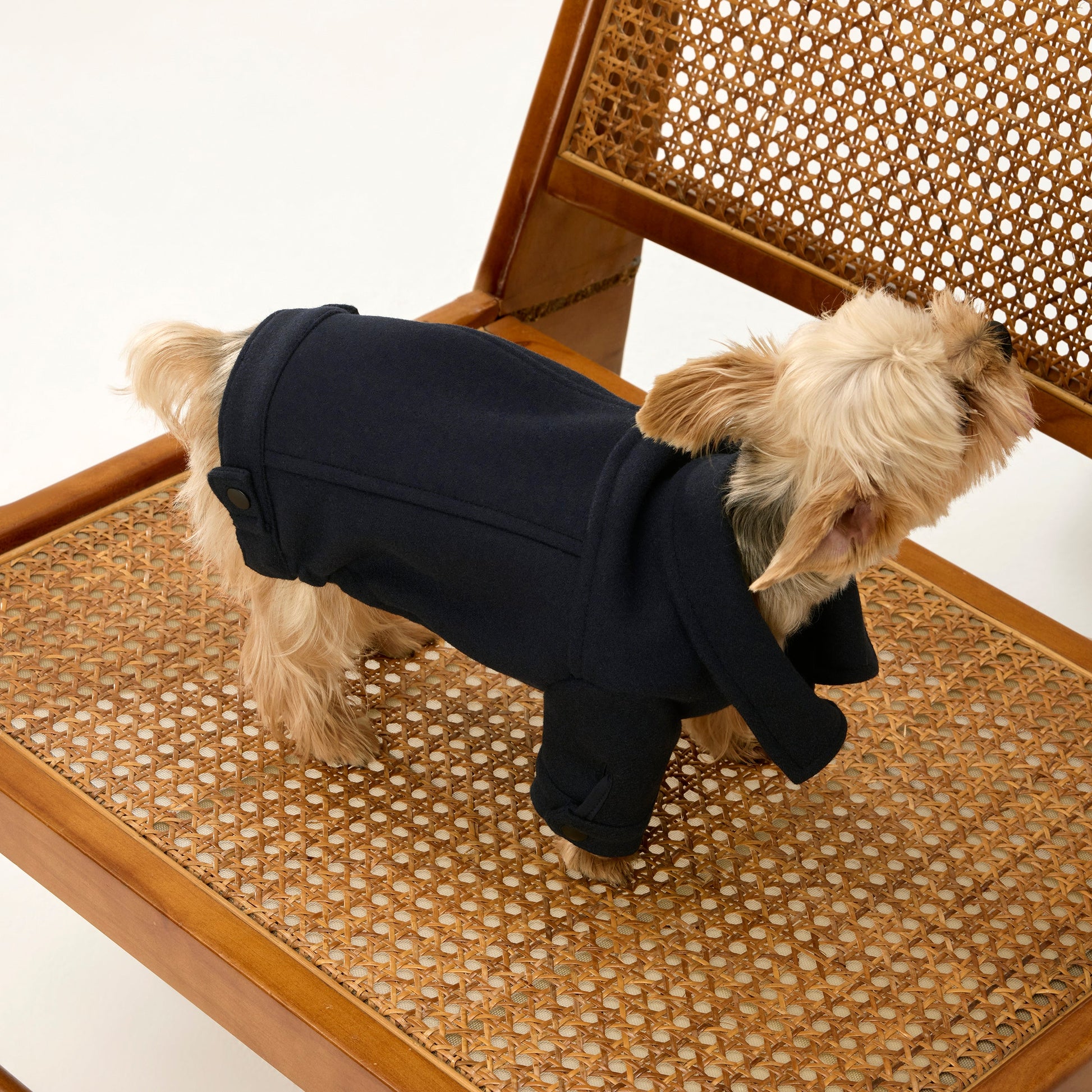 Navy Wool Jacket