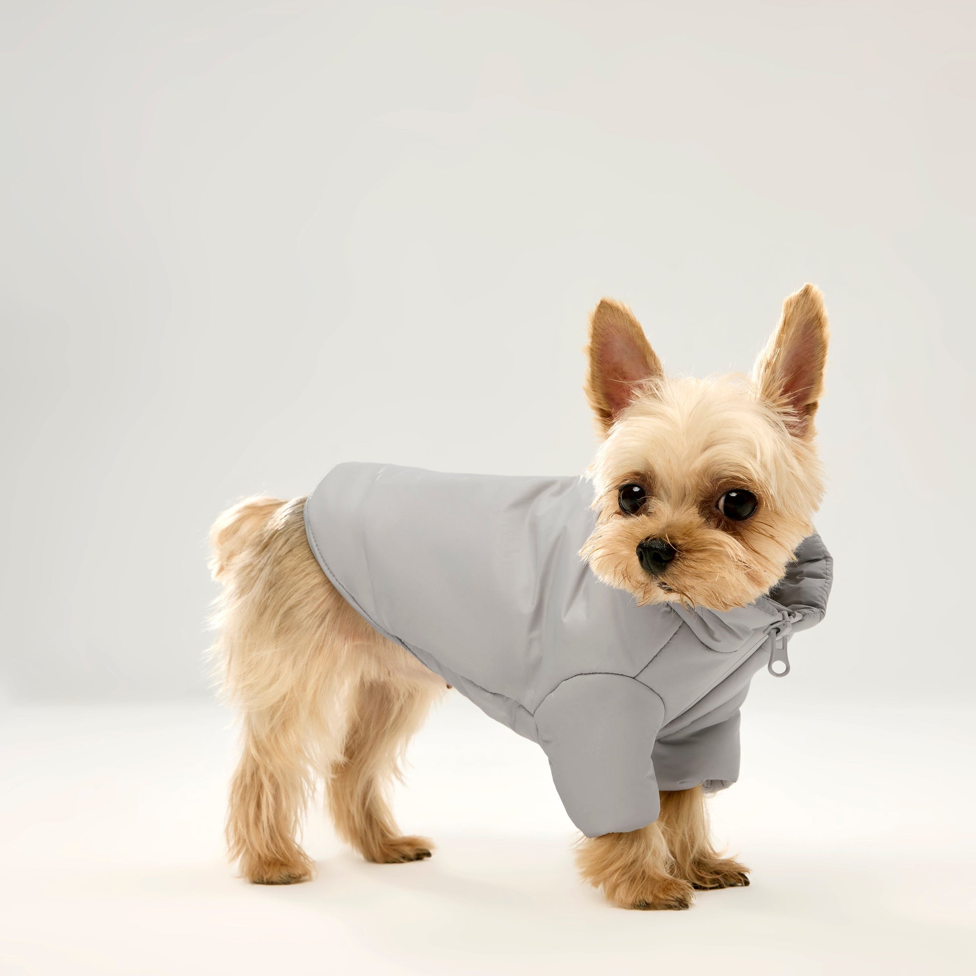 Light Grey Zip Up Puffer Jacket