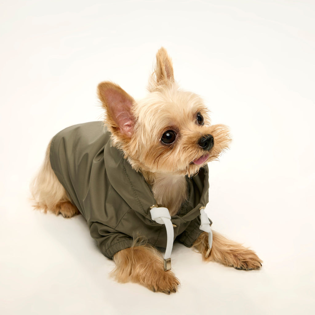 Pastel Thin Coat