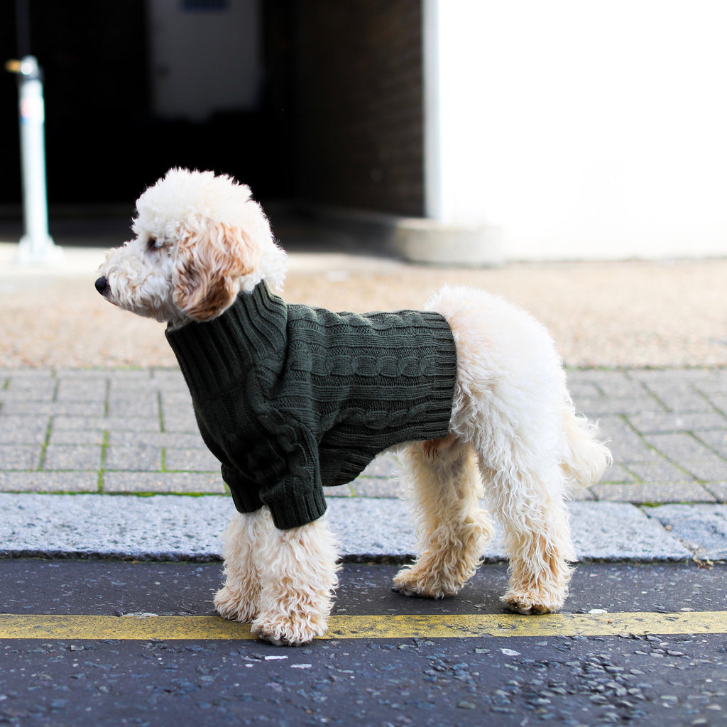 Cosy Turtleneck Knitwear