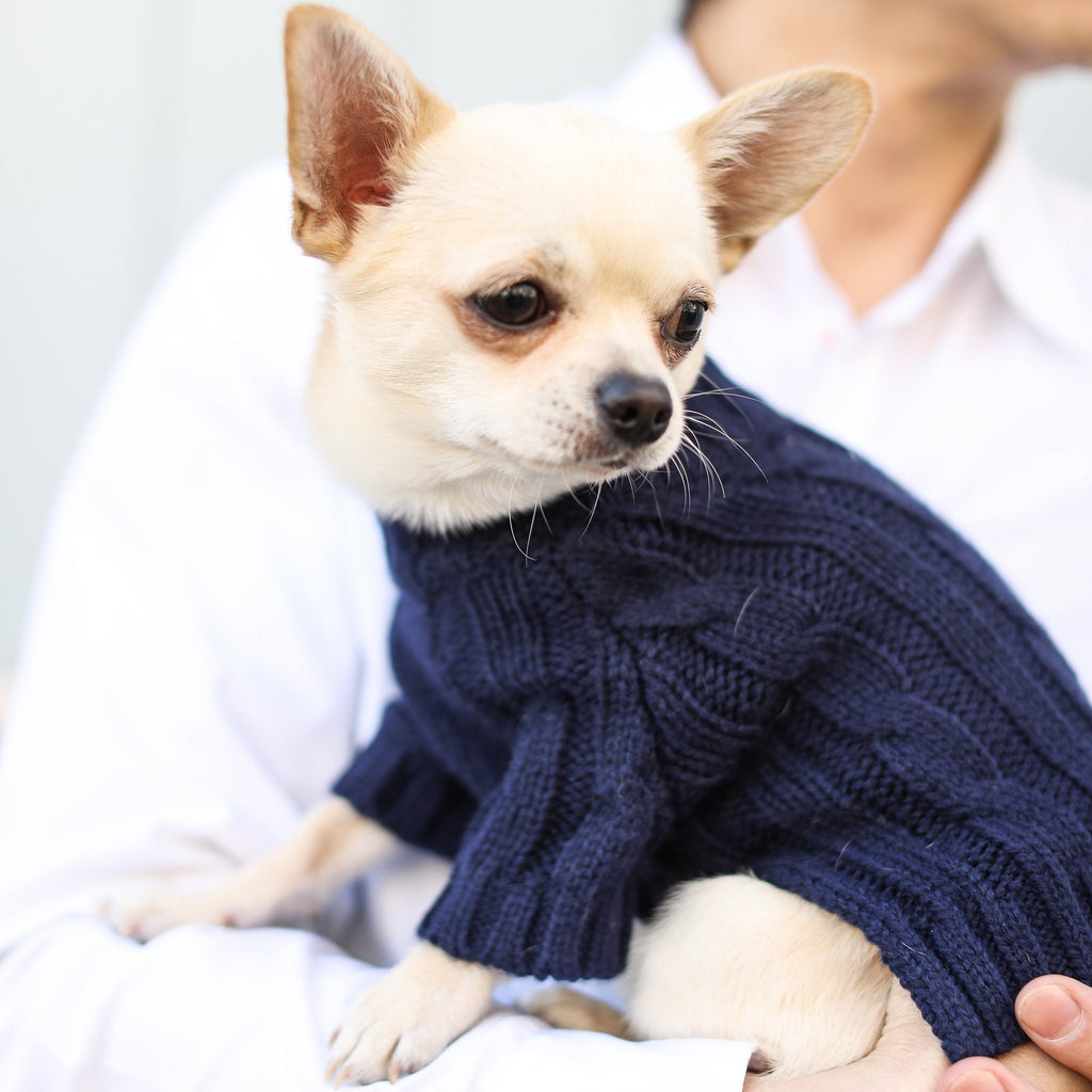 Cosy Turtleneck Knitwear