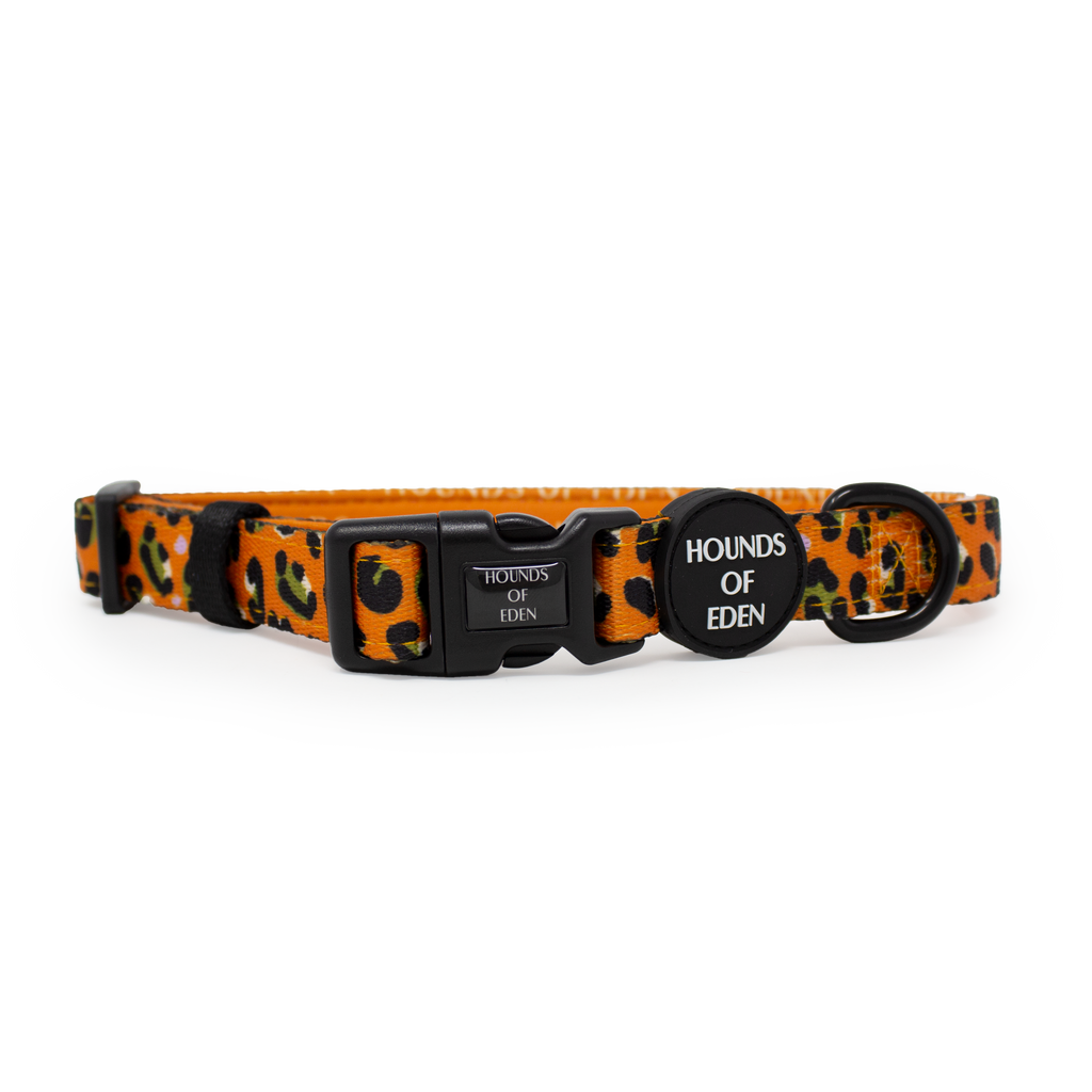 Burnt Orange Leopard Dog Harness with Extended Fit