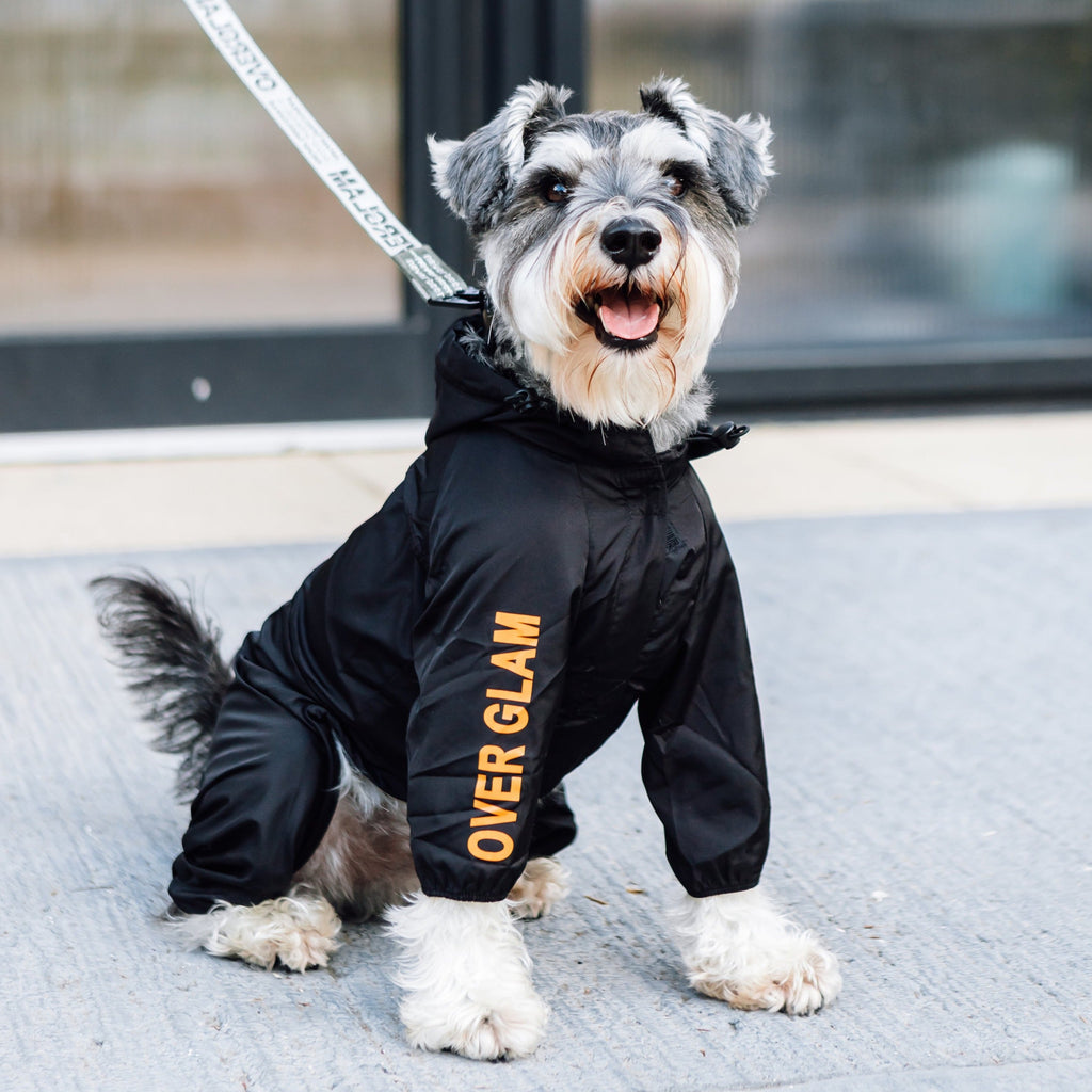 Black Waterproof Thin Coat