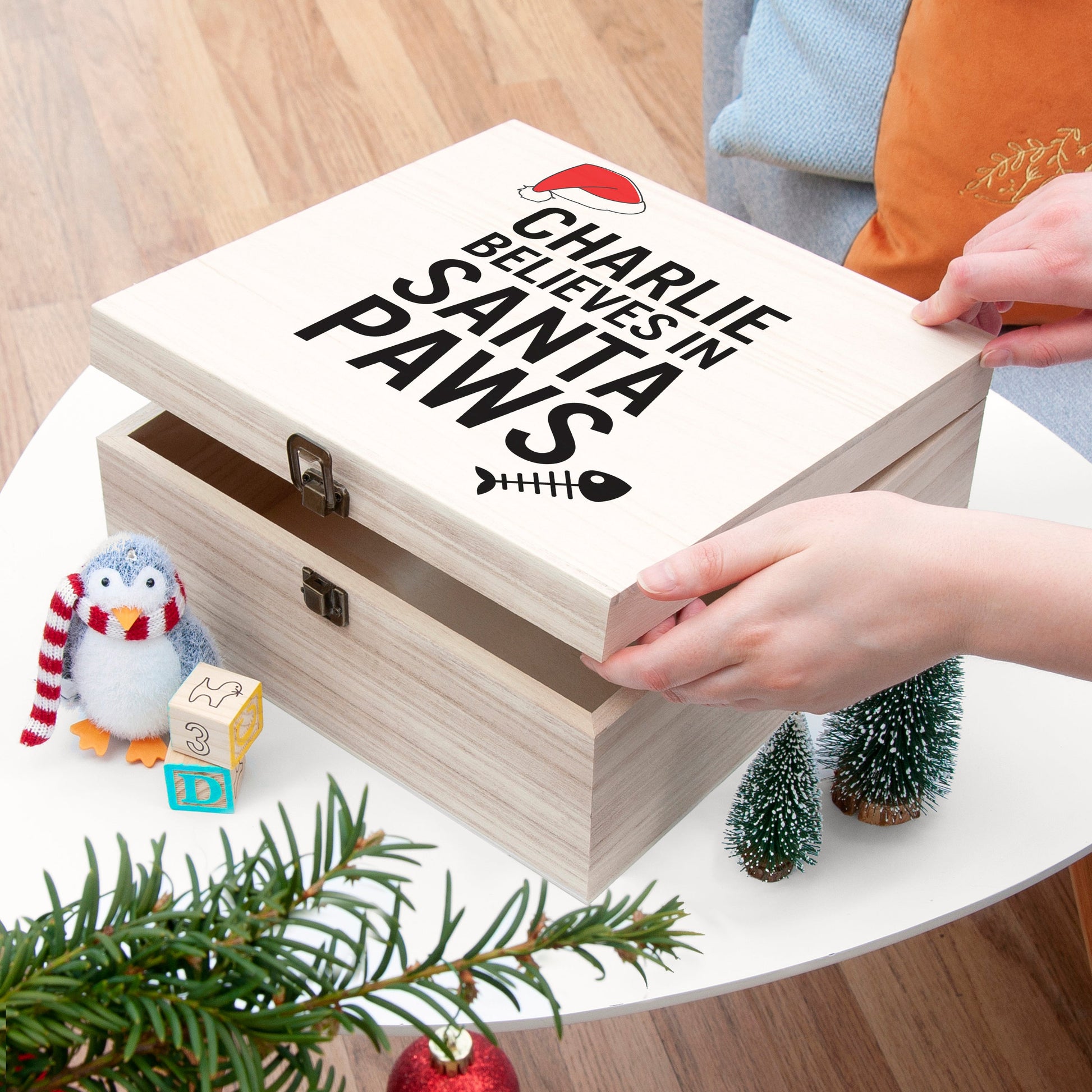 Personalised Pet Santa Paws Christmas Eve Box