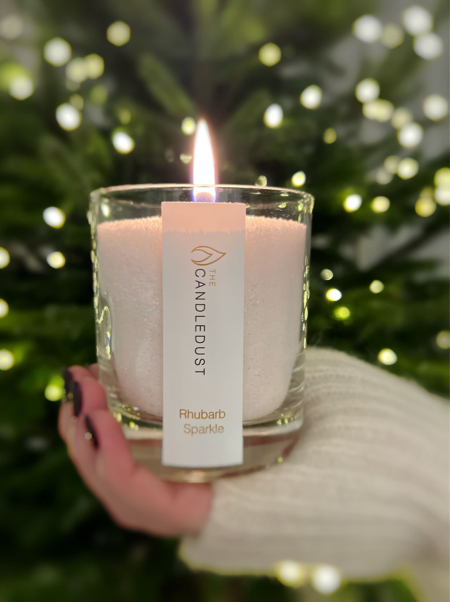 Crisp Forest Scented Candle – Elegant & Vegan-Friendly by Candledust at www.brixbailey.com