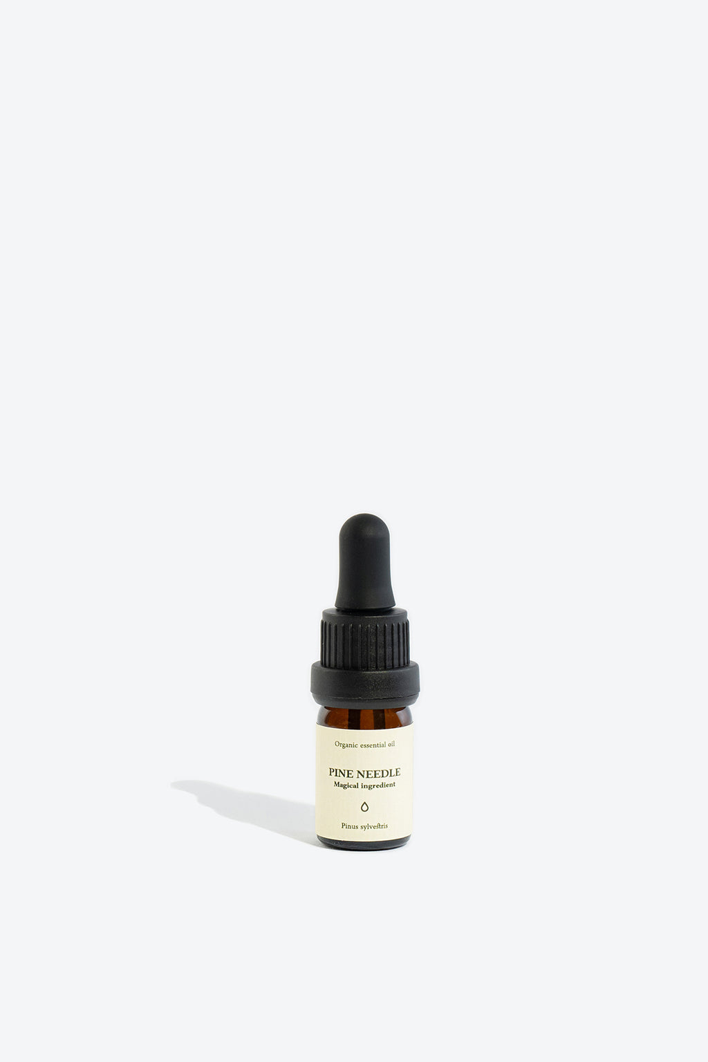 Natural Organic Pinus Sylvestris Oil – Purify Air & Enhance Clarity by Smells Like Spells at www.brixbailey.com
