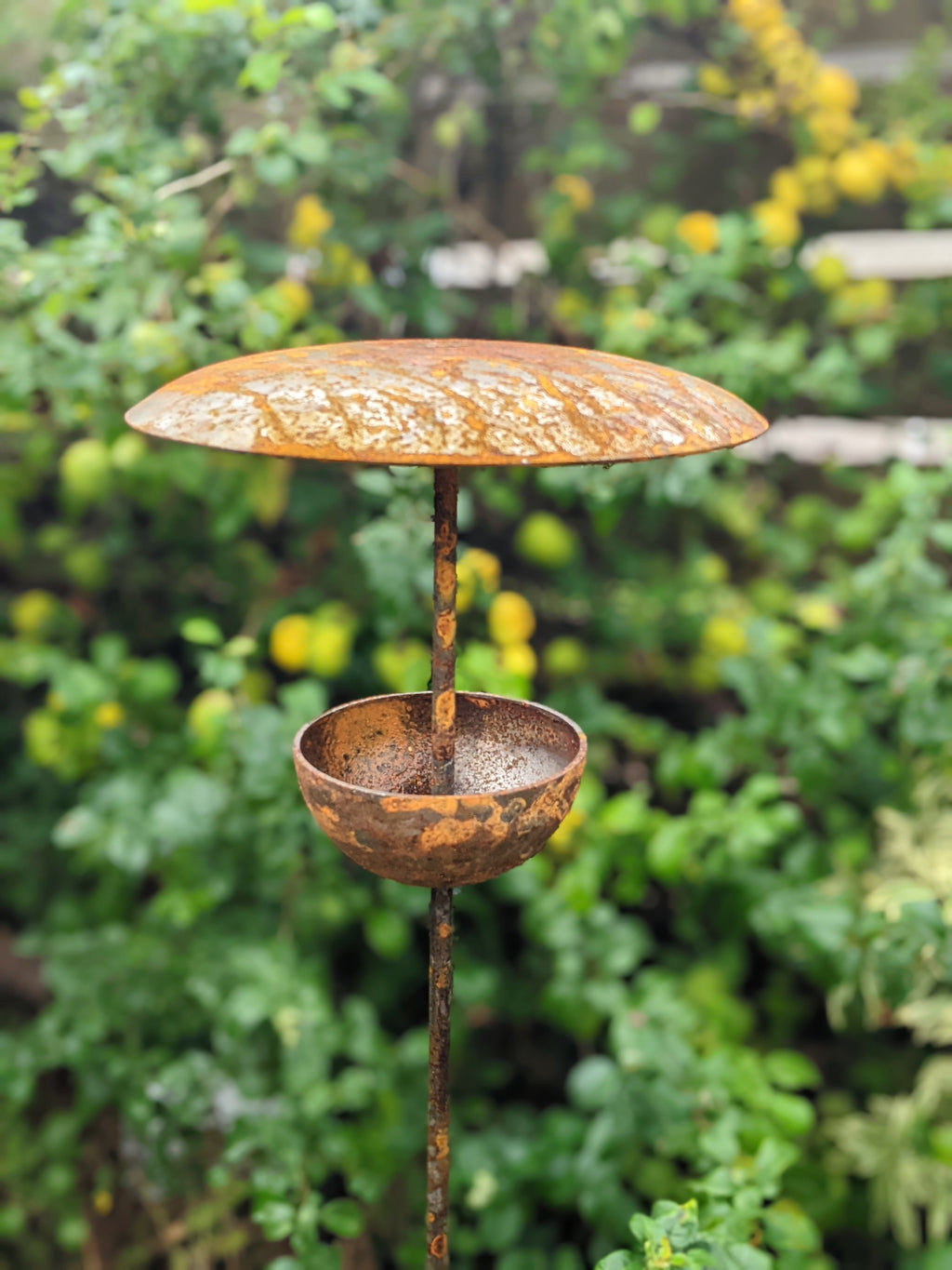 Rusty Metal Bird Feeding Stake