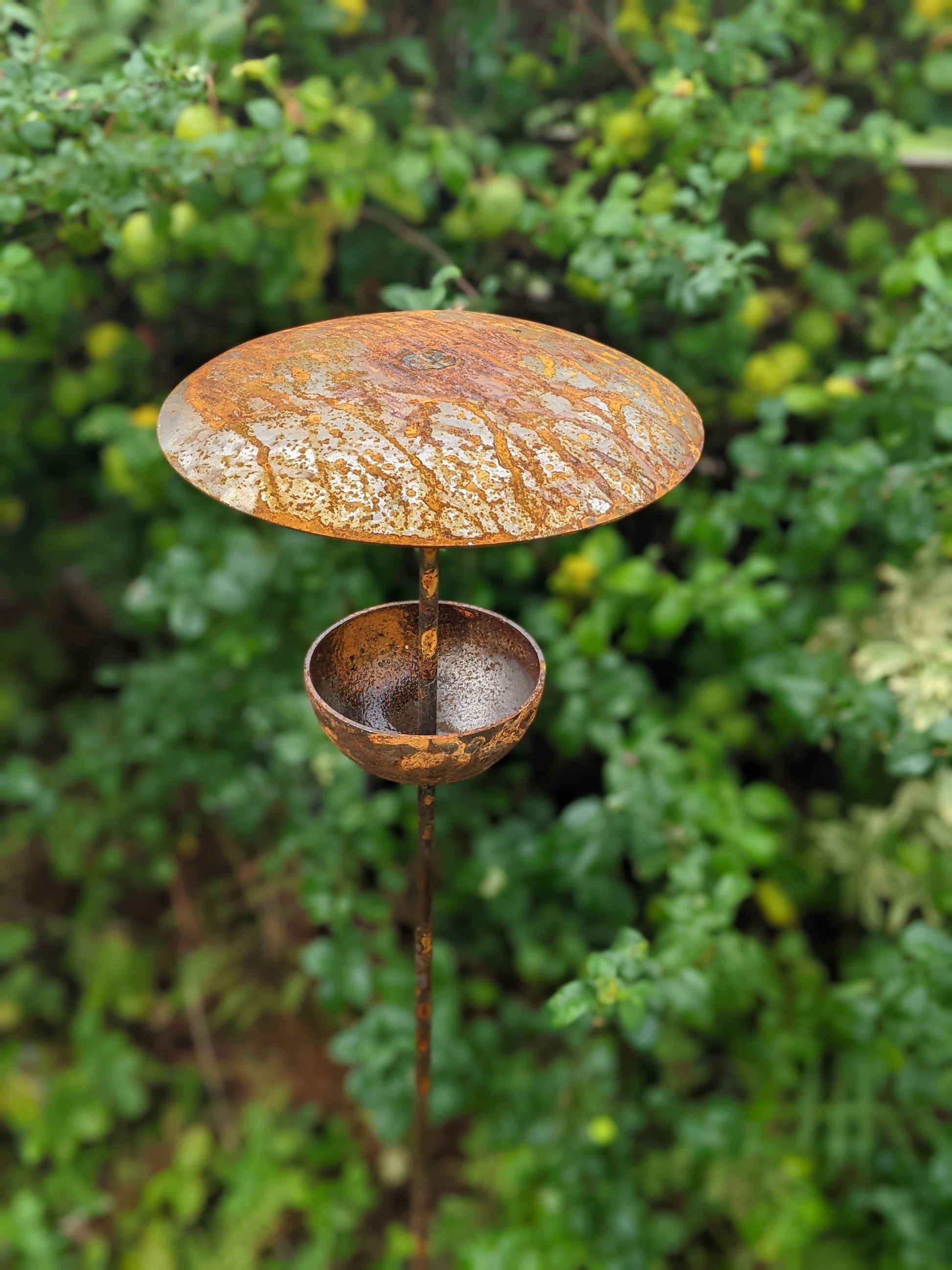 Rusty Metal Bird Feeding Stake