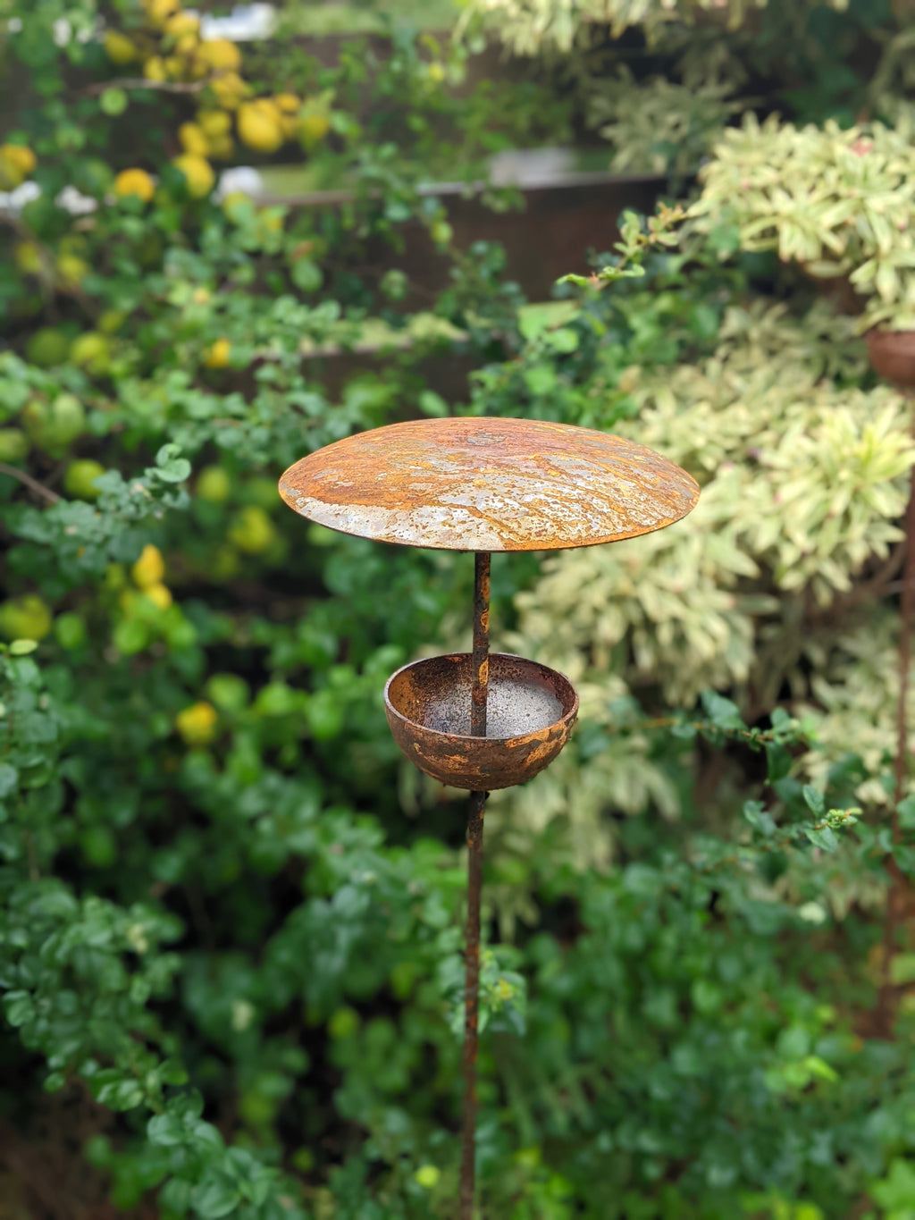 Rusty Metal Bird Feeding Stake