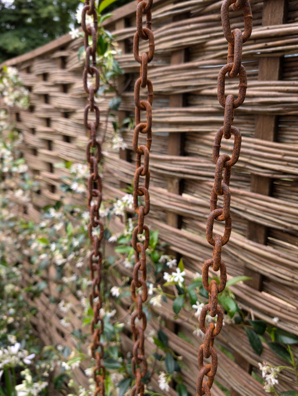 Rusty Rain Chains