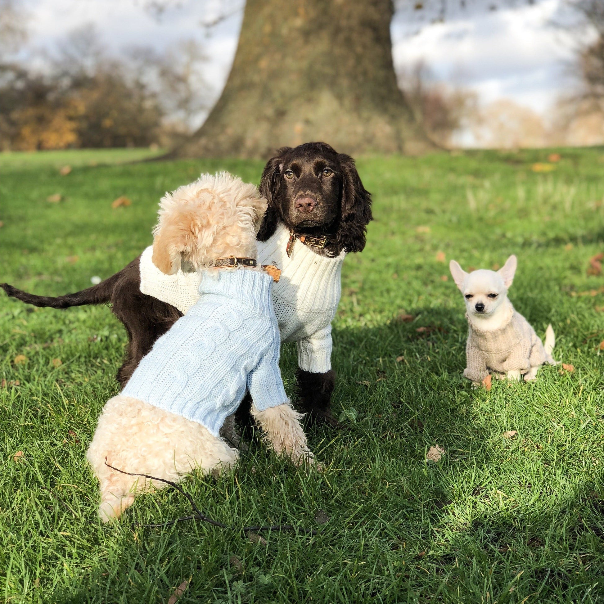 Cosy Turtleneck Knitwear