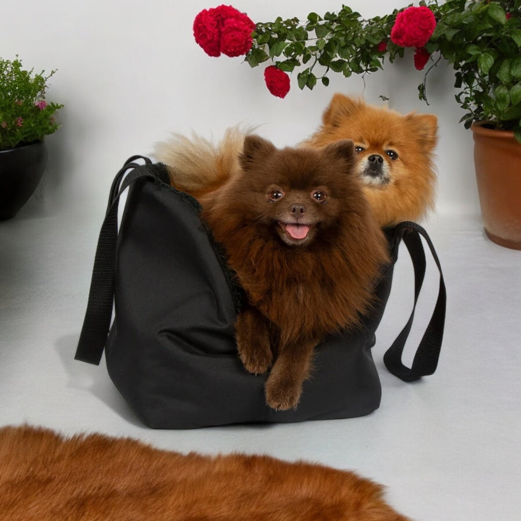 Black Luxury Rainy Bear Dog Carrier