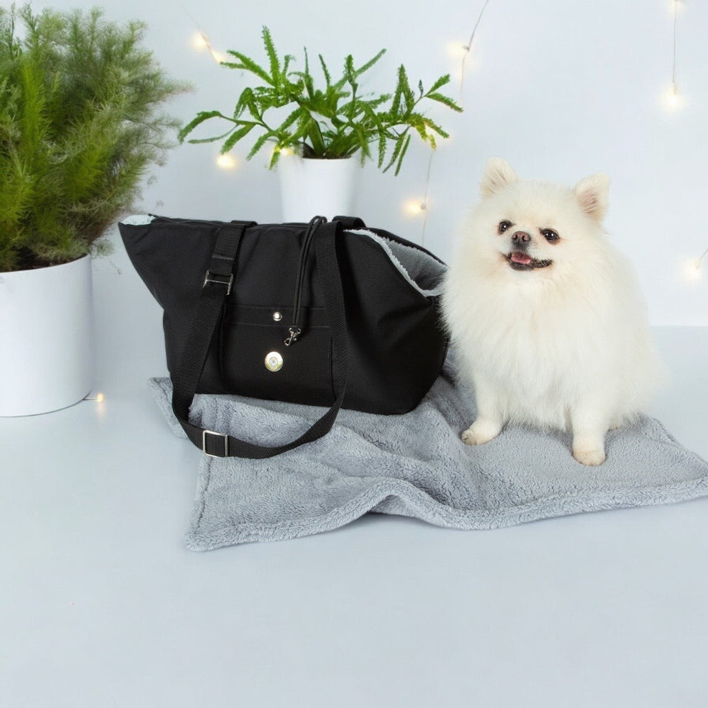 Black and Light Blue Luxury Rainy Bear Dog Carrier with Zipper