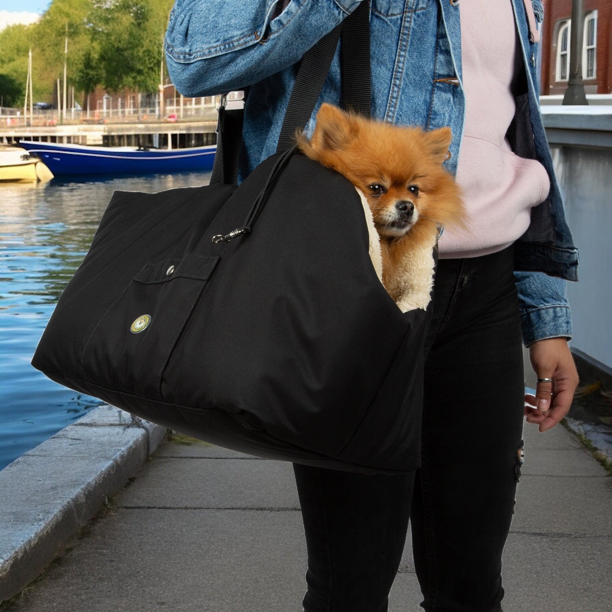 Black and Pink Luxury Rainy Bear Dog Carrier with Zipper