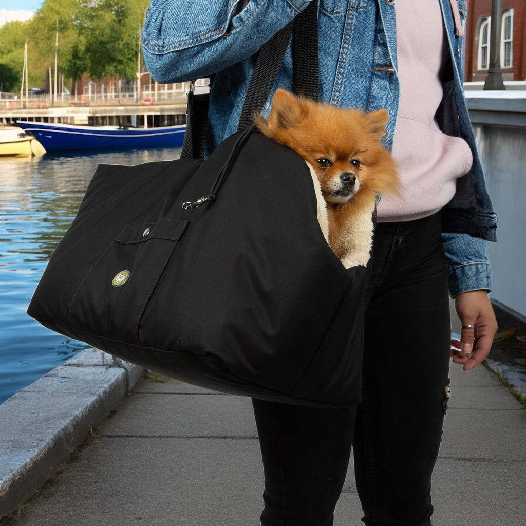 Black and Beige Luxury Rainy Bear Dog Carrier with Zipper
